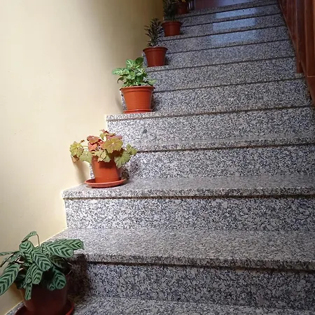 شقة Casa *